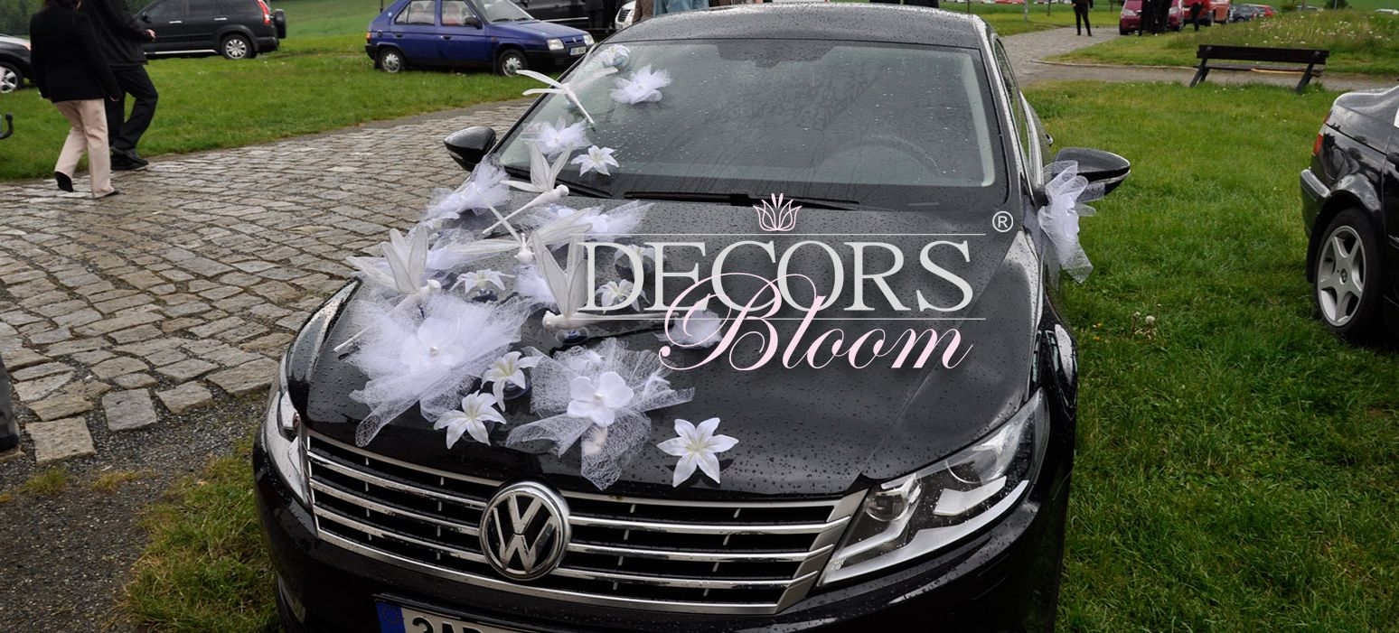 DECORS Bloom  ....... reference KAO.cz